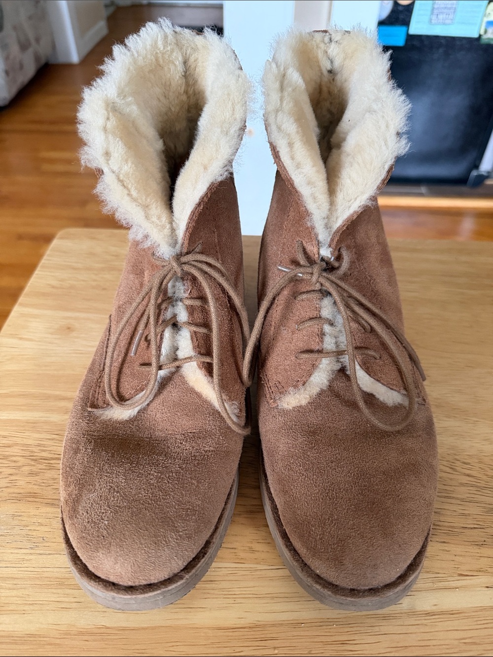 UGG Brown Suede Shearling-Lined Lace-Up Ankle Boots